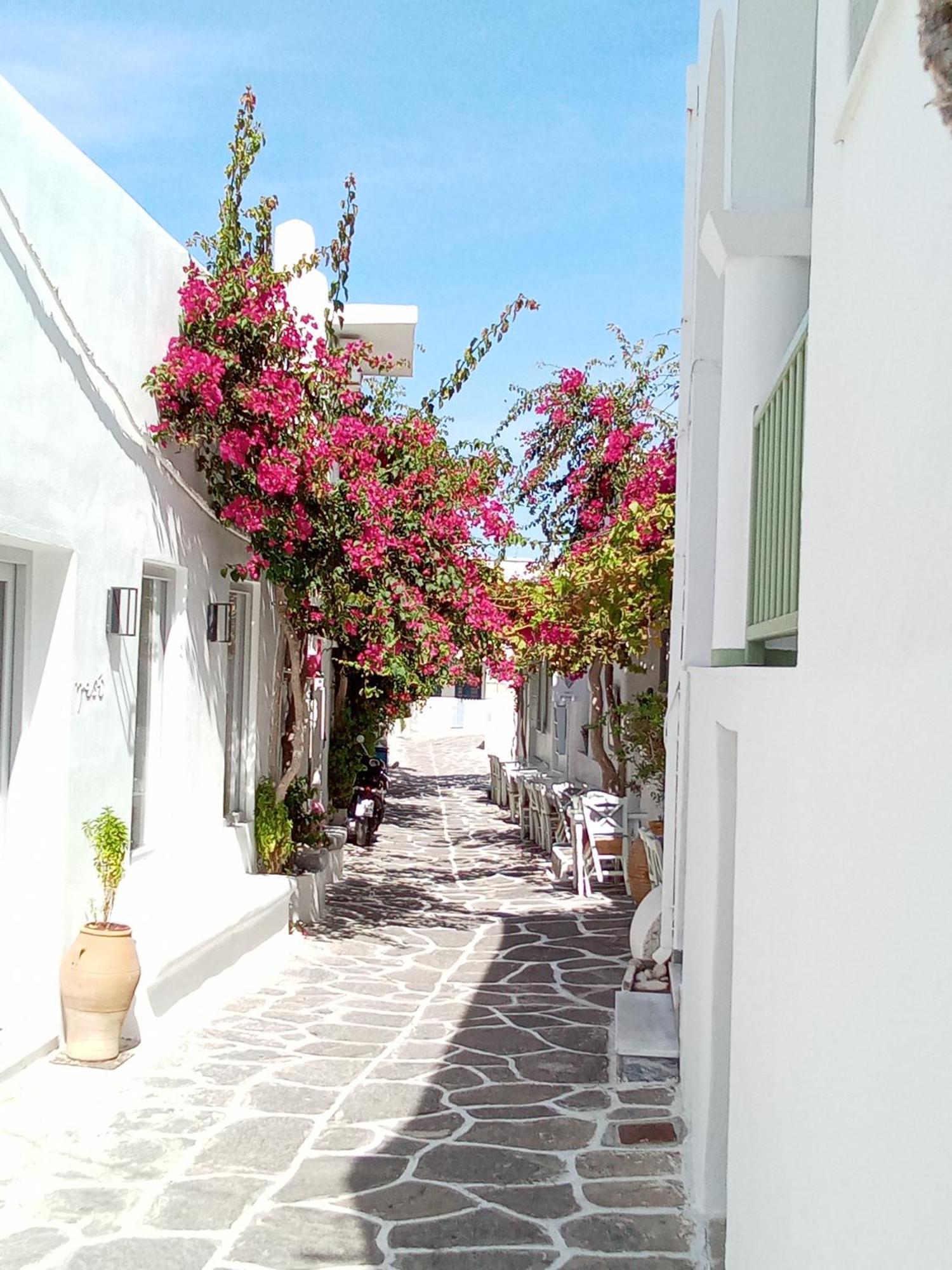 Aparthotel Sunloft-Paros Naousa  Exterior foto